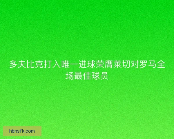多夫比克打入唯一进球荣膺莱切对罗马全场最佳球员