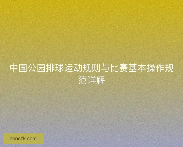 中国公园排球运动规则与比赛基本操作规范详解