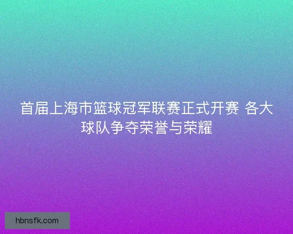 首届上海市篮球冠军联赛正式开赛 各大球队争夺荣誉与荣耀 首届上海市篮球冠军联赛正式开赛 各大球队争夺荣誉与荣耀