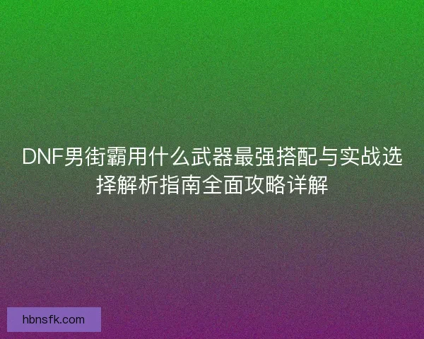 DNF男街霸用什么武器最强搭配与实战选择解析指南全面攻略详解
